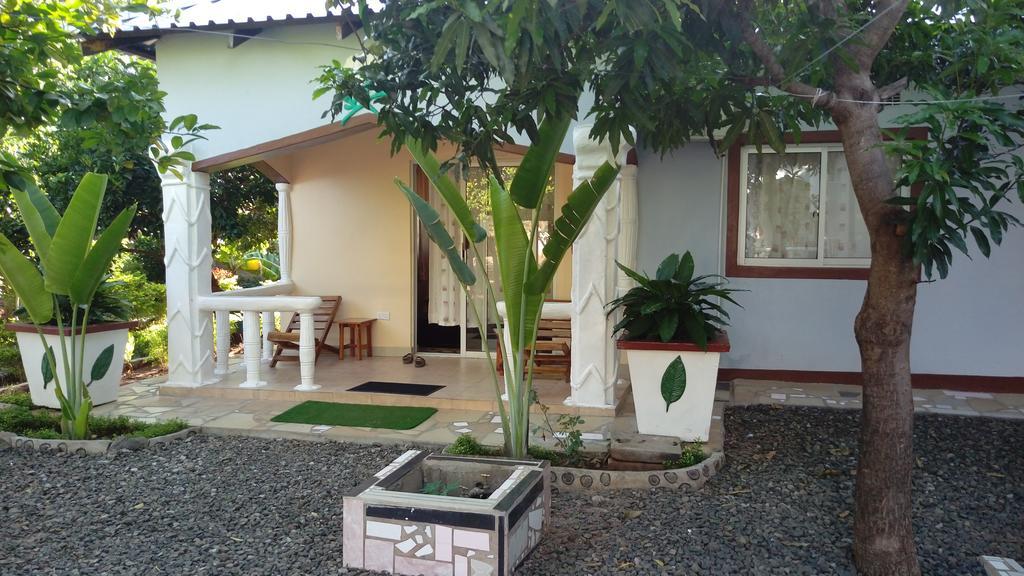 White Rose Lodge Livingstone Exteriér fotografie